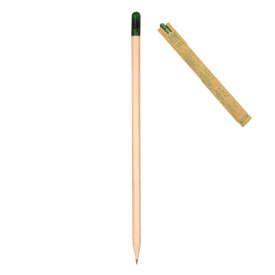 ÇEVRE DOSTU TOHUMLU KALEM - 