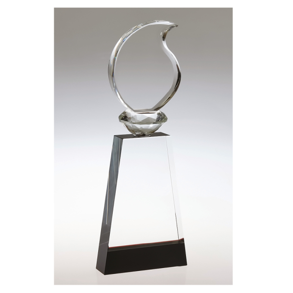 Promosyon KRİSTAL PLAKET (KADİFE KUTULU)